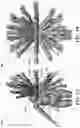 Fig. 06 - Flexible shell structure for show elements