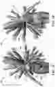 Fig. 07 - Flexible shell structure for show elements