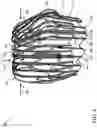 Fig. 08 - Flexible shell structure for show elements