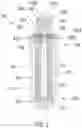 Fig. 04 - WATER FILTER