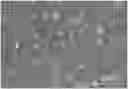 Fig. 01 - COMPOSITE STRUCTURE, METHOD OF MANUFACTURING THE SAME, AND FILTER MEDIUM CONTAINING THE COMPOSITE STRUCTURE