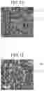 Fig. 10 - Exhaust gas purification filter