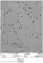 Fig. 02 - Porous polymeric membrane with tear prevention ring