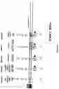 Fig. 10 - Process and apparatus for sequential synthesis of biological polymers