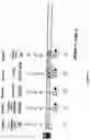Fig. 11 - Process and apparatus for sequential synthesis of biological polymers