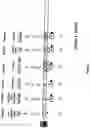 Fig. 12 - Process and apparatus for sequential synthesis of biological polymers
