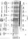 Fig. 23 - Process and apparatus for sequential synthesis of biological polymers