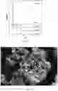 Fig. 11 - Metal organic framework based water capture apparatus