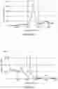 Fig. 14 - Process for producing composite material