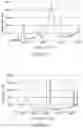 Fig. 18 - Process for producing composite material