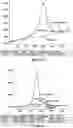 Fig. 29 - Process for producing composite material