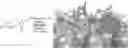 Fig. 01 - Electroactive composite comprising graphene, a metalloprotein and a conjugate polymer