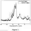 Fig. 04 - Electroactive composite comprising graphene, a metalloprotein and a conjugate polymer