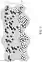 Fig. 05 - METHOD FOR ENGINEERED CELLULAR MAGMATICS FOR FILTER APPLICATIONS AND ARTICLES THEREOF