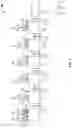 Fig. 02 - METHOD FOR PURIFYING AND TESTING BIOMOLECULES FROM BIOLOGICAL SAMPLES