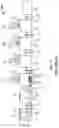 Fig. 09 - METHOD FOR PURIFYING AND TESTING BIOMOLECULES FROM BIOLOGICAL SAMPLES
