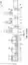 Fig. 12 - METHOD FOR PURIFYING AND TESTING BIOMOLECULES FROM BIOLOGICAL SAMPLES
