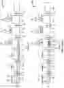Fig. 13 - METHOD FOR PURIFYING AND TESTING BIOMOLECULES FROM BIOLOGICAL SAMPLES