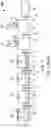 Fig. 16 - METHOD FOR PURIFYING AND TESTING BIOMOLECULES FROM BIOLOGICAL SAMPLES