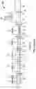 Fig. 21 - METHOD FOR PURIFYING AND TESTING BIOMOLECULES FROM BIOLOGICAL SAMPLES