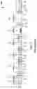 Fig. 27 - METHOD FOR PURIFYING AND TESTING BIOMOLECULES FROM BIOLOGICAL SAMPLES