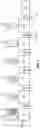 Fig. 28 - METHOD FOR PURIFYING AND TESTING BIOMOLECULES FROM BIOLOGICAL SAMPLES