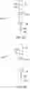 Fig. 15 - APPARATUSES AND SAMPLE SWABS FOR PERFORMING RAPID DIAGNOSTIC TESTS
