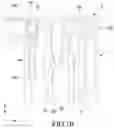 Fig. 11 - CARTRIDGE FOR BIOREACTOR