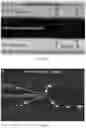 Fig. 02 - METHOD AND SYSTEM FOR PACKED BED CELL BUOYANCY SEPARATION