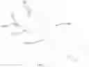 Fig. 08 - Pole saw