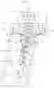 Fig. 09 - DRIVING DEVICE