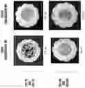 Fig. 06 - Methods and apparatuses for freeform additive manufacturing of engineering polymers