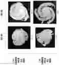 Fig. 07 - Methods and apparatuses for freeform additive manufacturing of engineering polymers