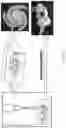 Fig. 08 - Methods and apparatuses for freeform additive manufacturing of engineering polymers