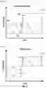 Fig. 06 - SYSTEMS AND METHODS FOR DETERMINING TIRE INFLATION PRESSURE LOSS