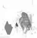 Fig. 07 - Ratchet with force indicator