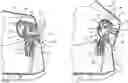 Fig. 01 - Load carrier for a vehicle