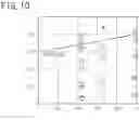 Fig. 07 - Structural member for vehicle