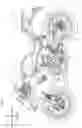 Fig. 02 - Straddled vehicle