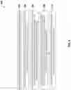 Fig. 08 - Methods and systems for retaining lateral control of an unmanned aerial vehicle during landing with leveled inboard propellers