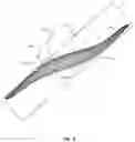 Fig. 05 - Multi-segment oblique flying wing aircraft