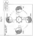 Fig. 14 - Satellite constellation forming system, satellite constellation forming method, satellite constellation, deorbit method, debris collection method, and ground device