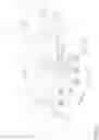 Fig. 19 - Cartoning apparatus