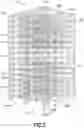 Fig. 06 - Storage and retrieval system