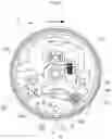 Fig. 06 - WEBBING TAKE-UP DEVICE