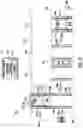 Fig. 05 - ROPELESS ELEVATOR VEHICLE WORKSTATION