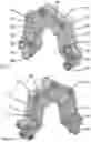 Fig. 02 - SYSTEM AND APPARATUS FOR MOVING OBJECTS