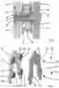 Fig. 03 - SYSTEM AND APPARATUS FOR MOVING OBJECTS