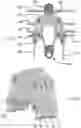 Fig. 08 - SYSTEM AND APPARATUS FOR MOVING OBJECTS