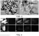 Fig. 03 - METHOD FOR PURIFYING SILICON BY MEANS OF PHASE SEPARATION DEALLOYING REACTION